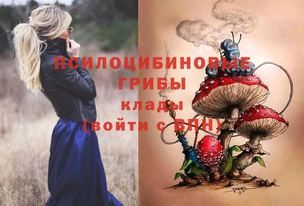 МДПВ Володарск